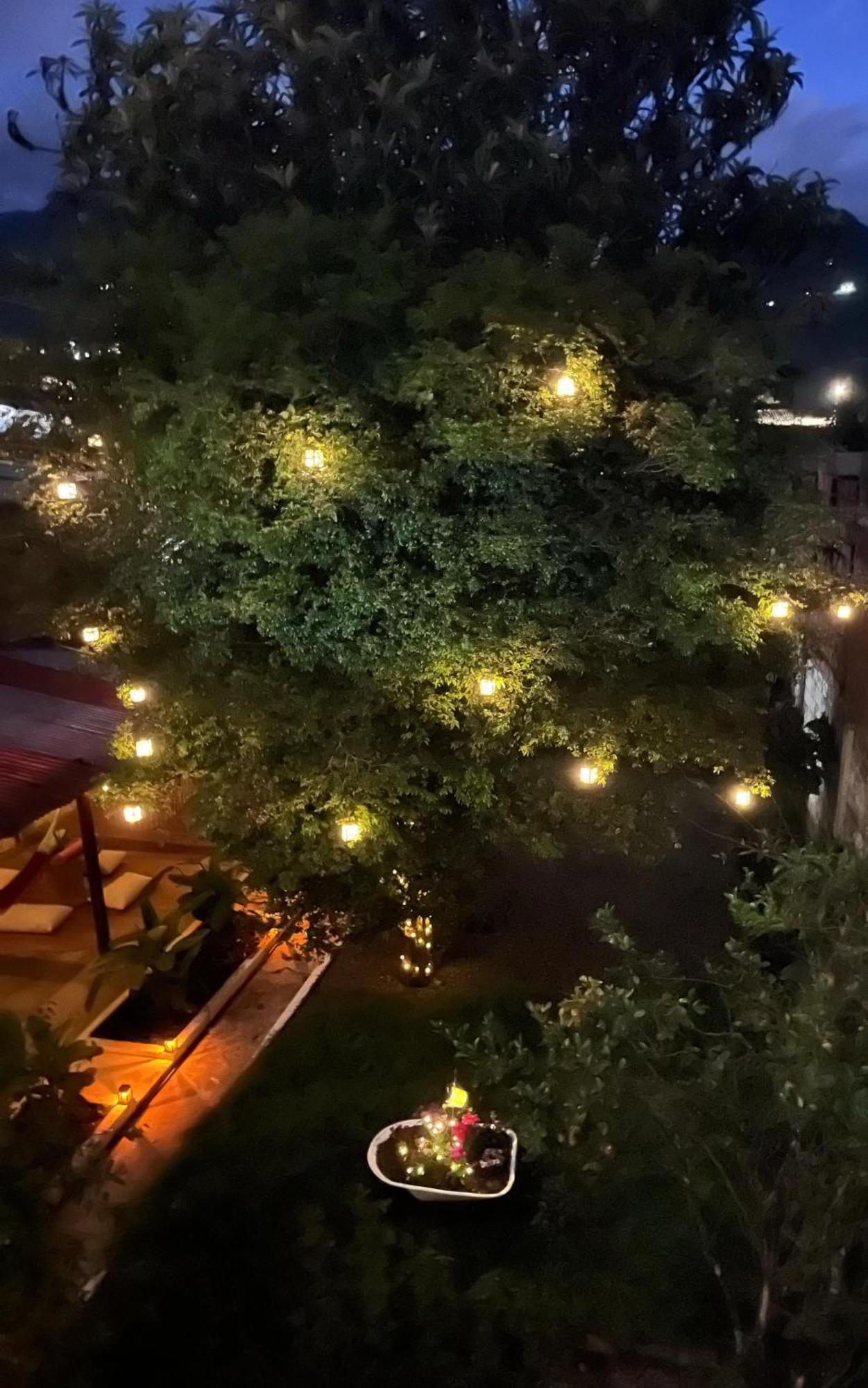 Magic Jardin Hostel - Patio, Balcony & Rooftop Exterior foto